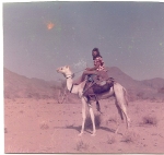 Mark on camel